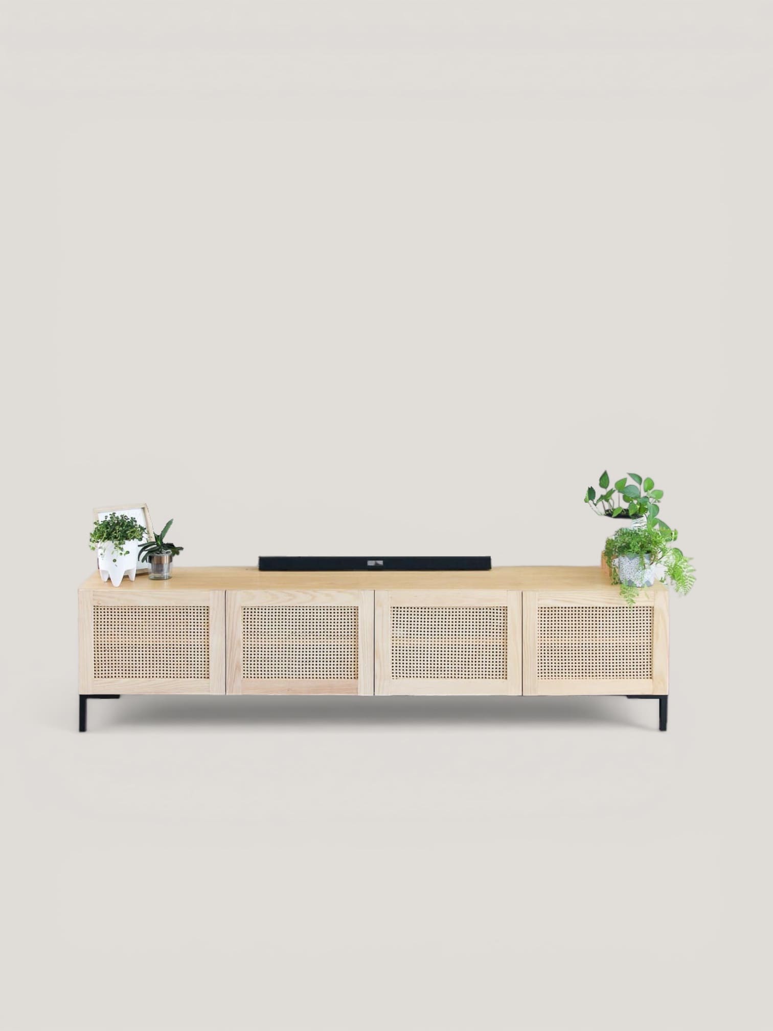 Serengeti TV unit