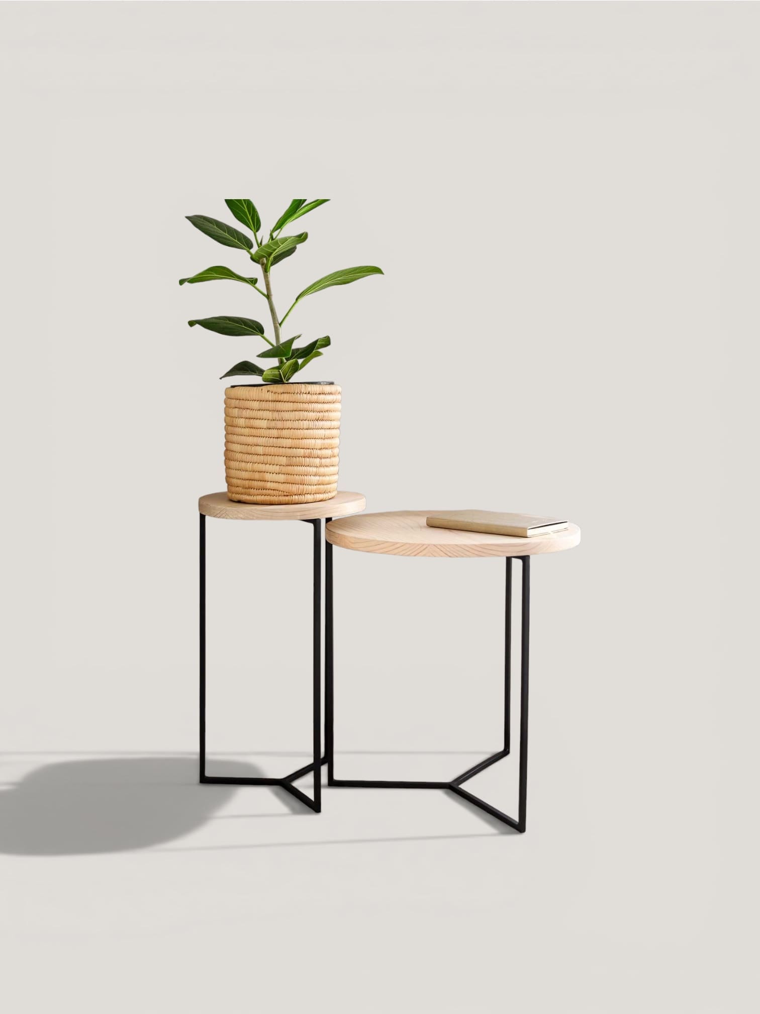 Olive nesting set with pine tops